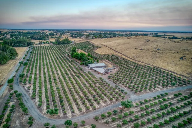 a view of a city with ocean view