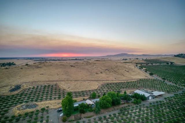 a view of a house with a yard and plants