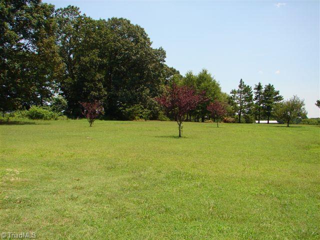 958 Langley Road Staley, NC 27355 - Photo 8 of 30