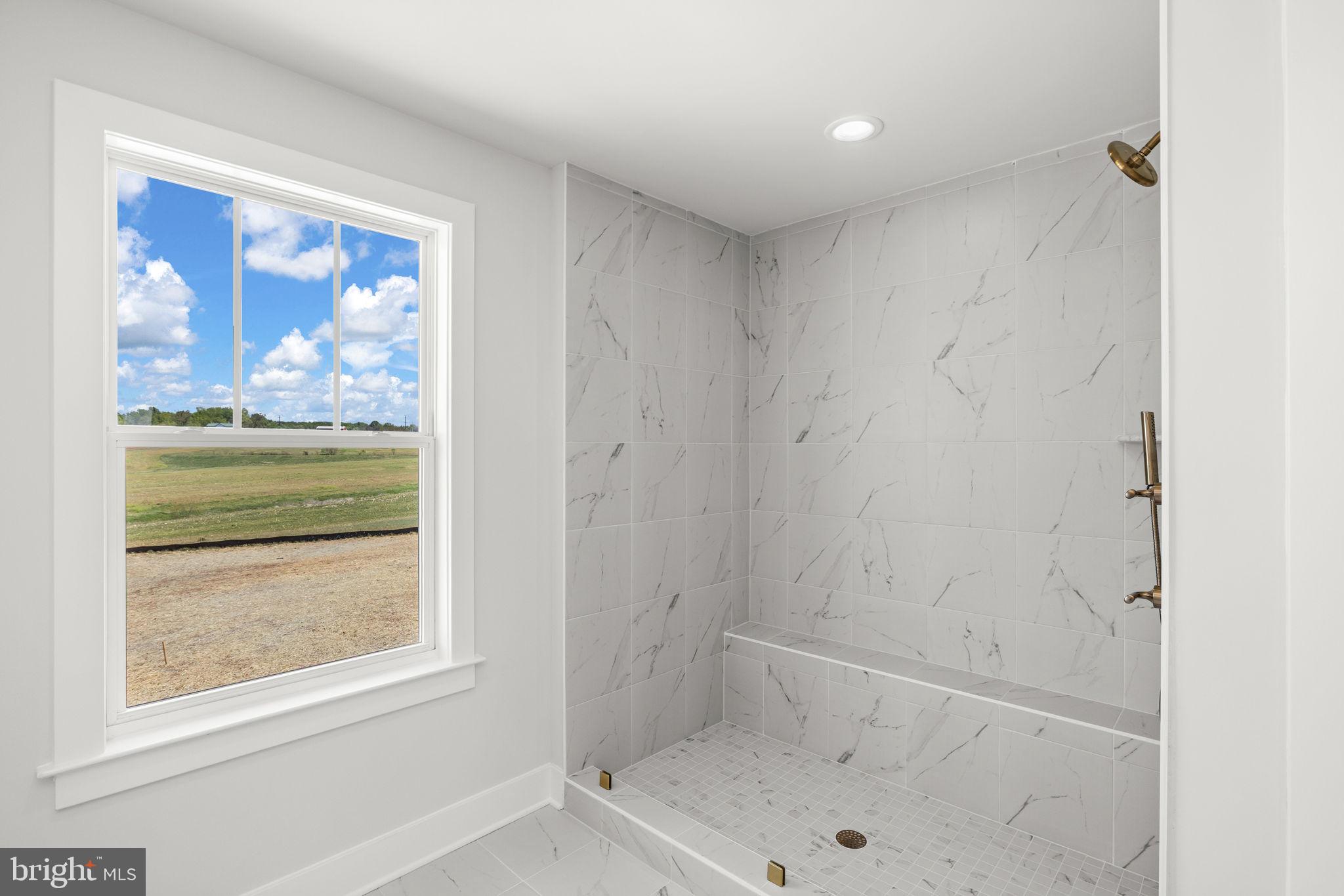 18237 Stevensburg Road Stevensburg, VA 22741 - Photo 24 of 40 Primary bath with frameless glass
walk in shower