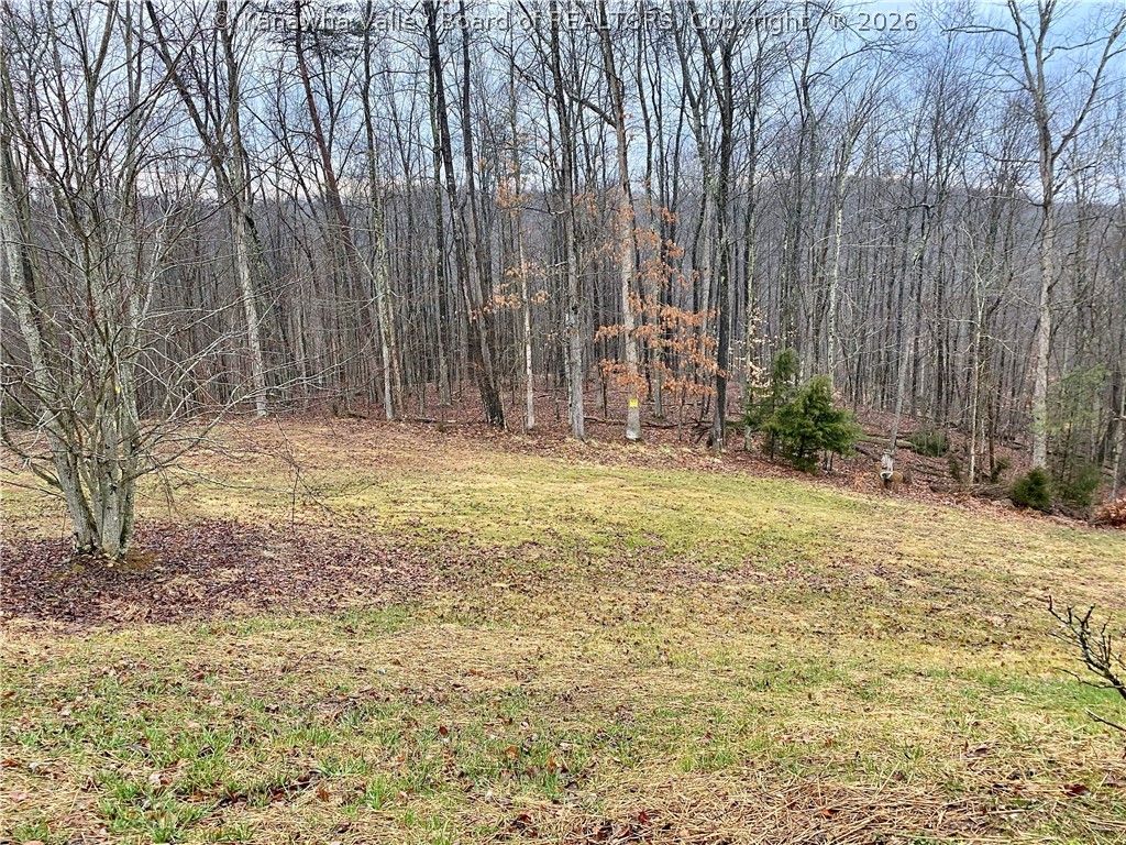 63 Mountain Crest Lane Ripley, WV 25271 - Photo 47 of 50 Gallery Image 47