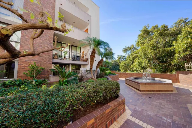 a view of a park with large trees