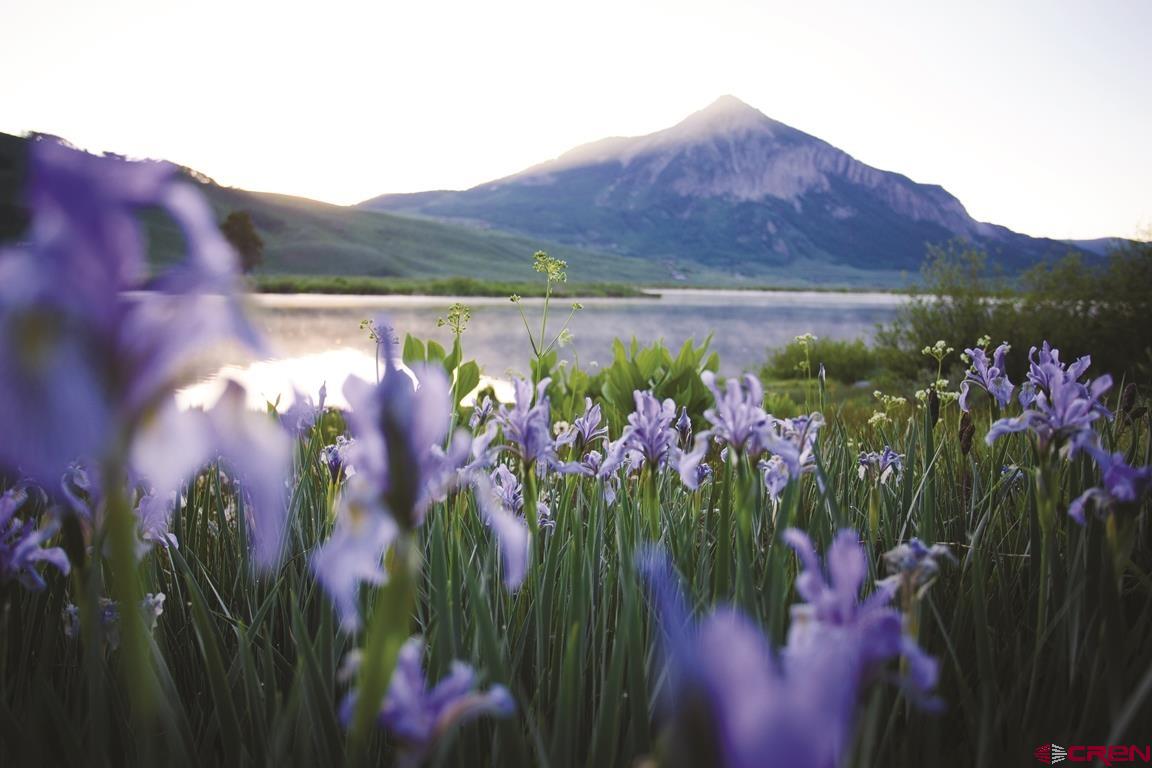 620 Gothic Road, Unit 403 Crested Butte, CO 81225 - Photo 24 of 27 Gallery Image 24