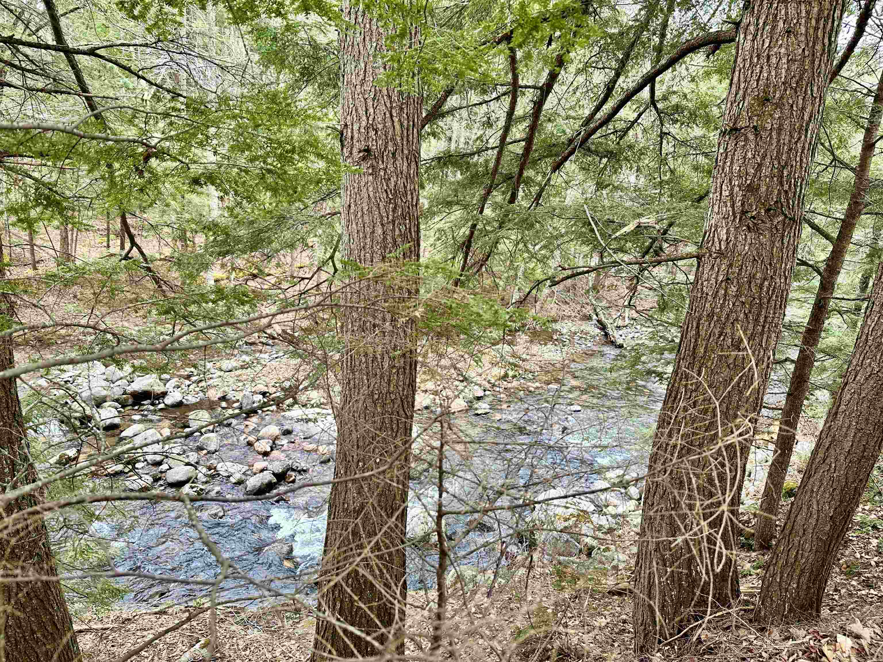 7768 Cold River Road Shrewsbury, VT 05738 - Photo 16 of 27