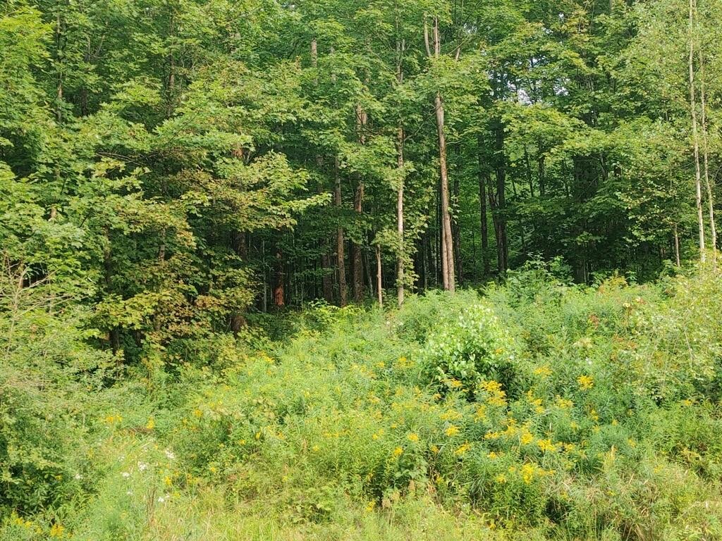 1977 Corliss Road Richford, VT 05476 - Photo 2 of 7 Gallery Image 2