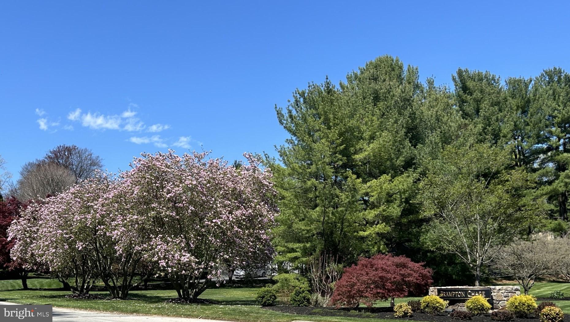 10 Brampton Road Malvern, PA 19355 - Photo 47 of 49 a view of a yard with large trees
