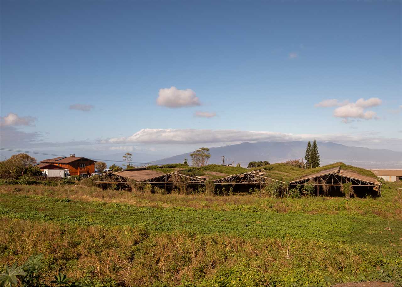 586 Naalae Road Kula, HI 96790 - Photo 3 of 30 a view of a city