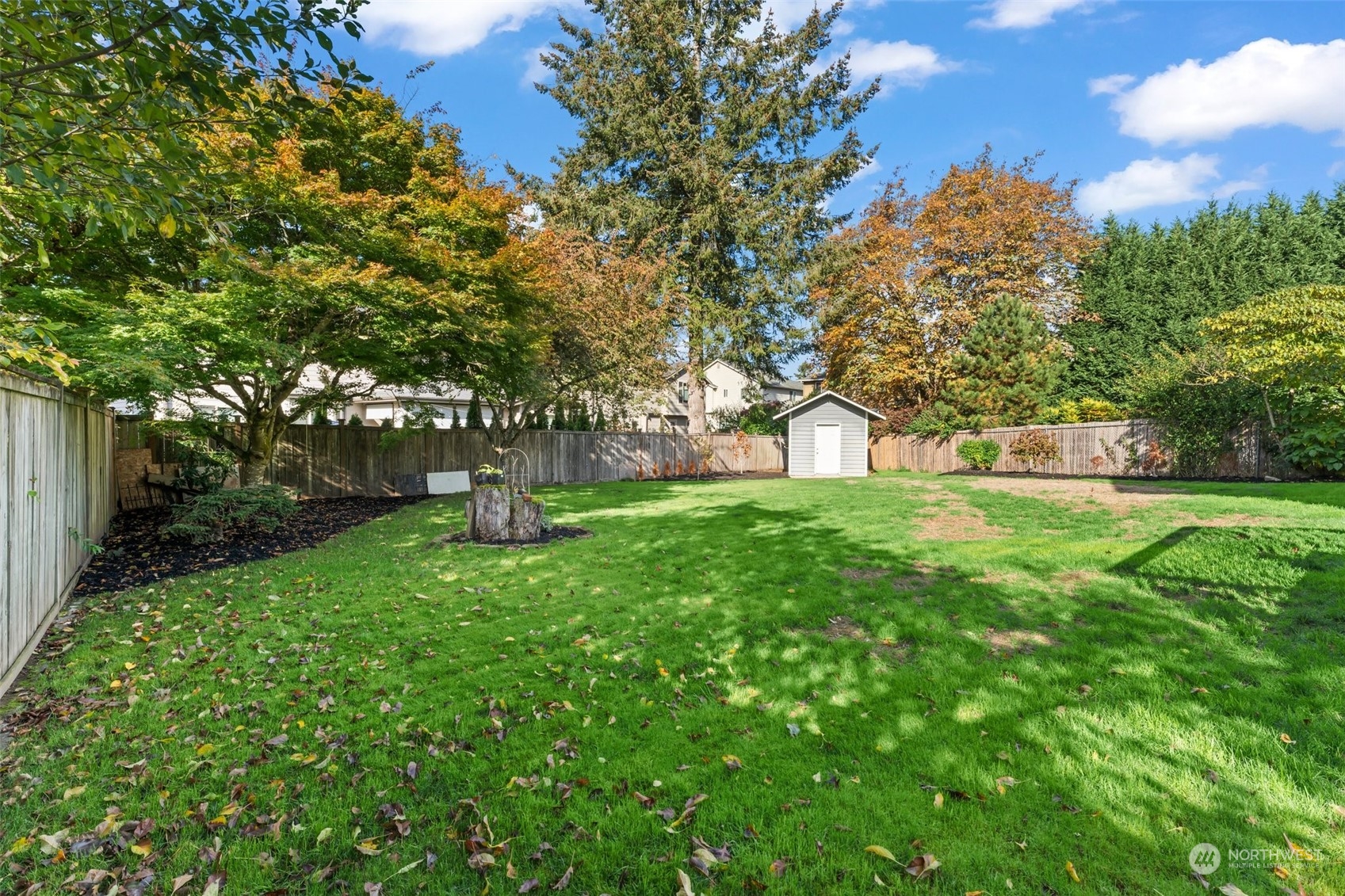 207 Elma Place Southeast Renton, WA 98059 - Photo 29 of 35 a view of a garden with a tree