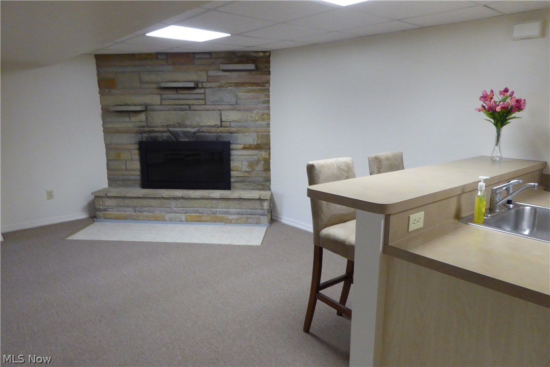 10316 Johnnycake Ridge Road Painesville, OH 44077 - Photo 16 of 30 View of the Lower Level Wood Burning Fireplace!