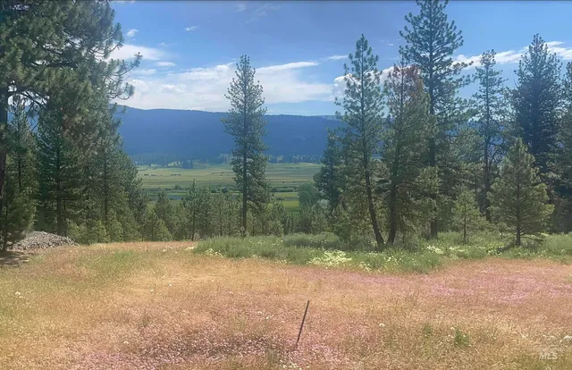 $129,000 | Tbd Baneberry Drive, New Meadows, ID 83654