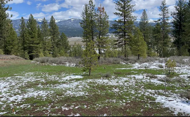 $129,000 | Tbd Baneberry Drive, New Meadows, ID 83654