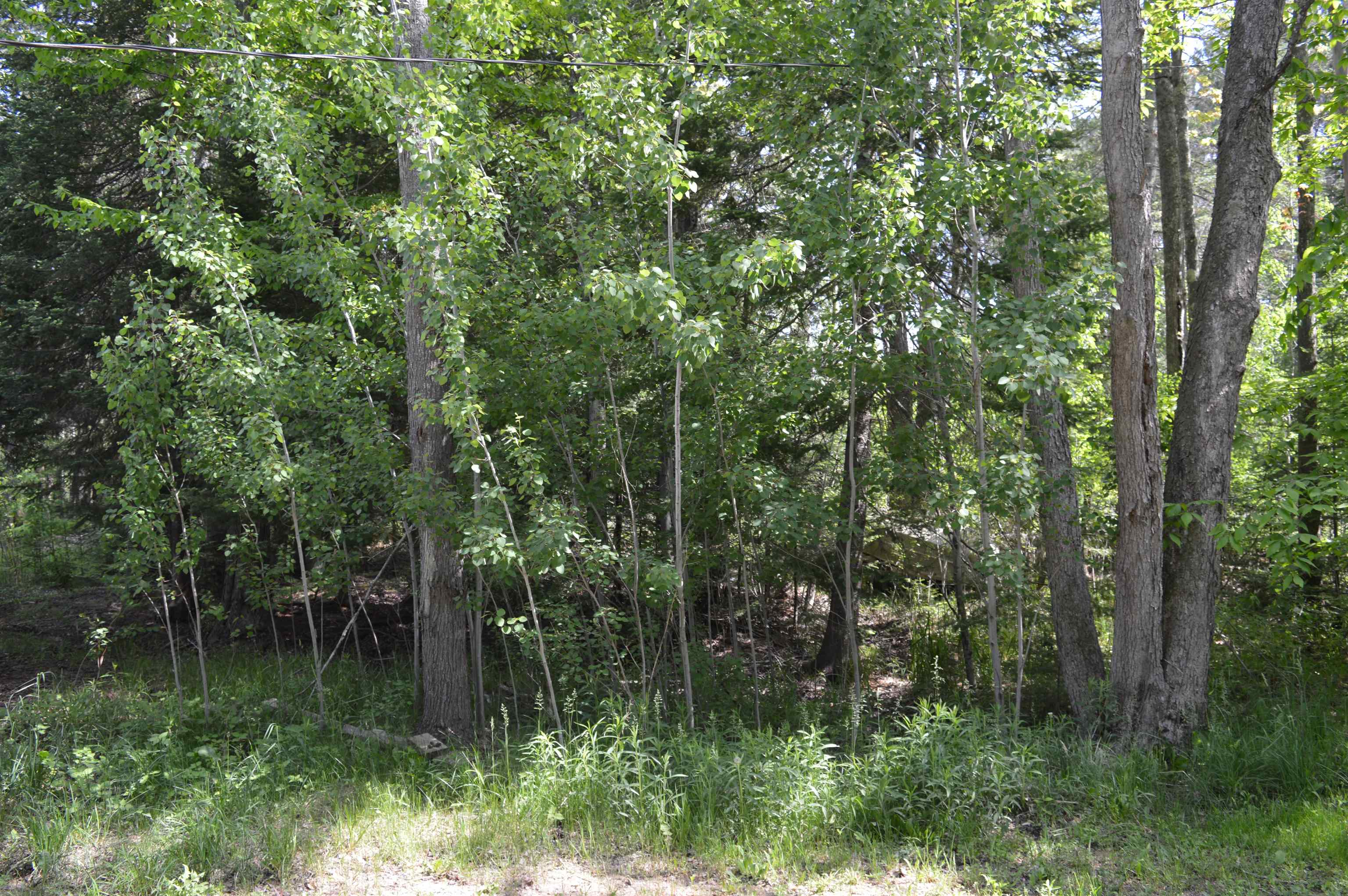 6166 Butler Road Southwest South Boardman, MI 49680 - Photo 27 of 36 1900433-26.JPG