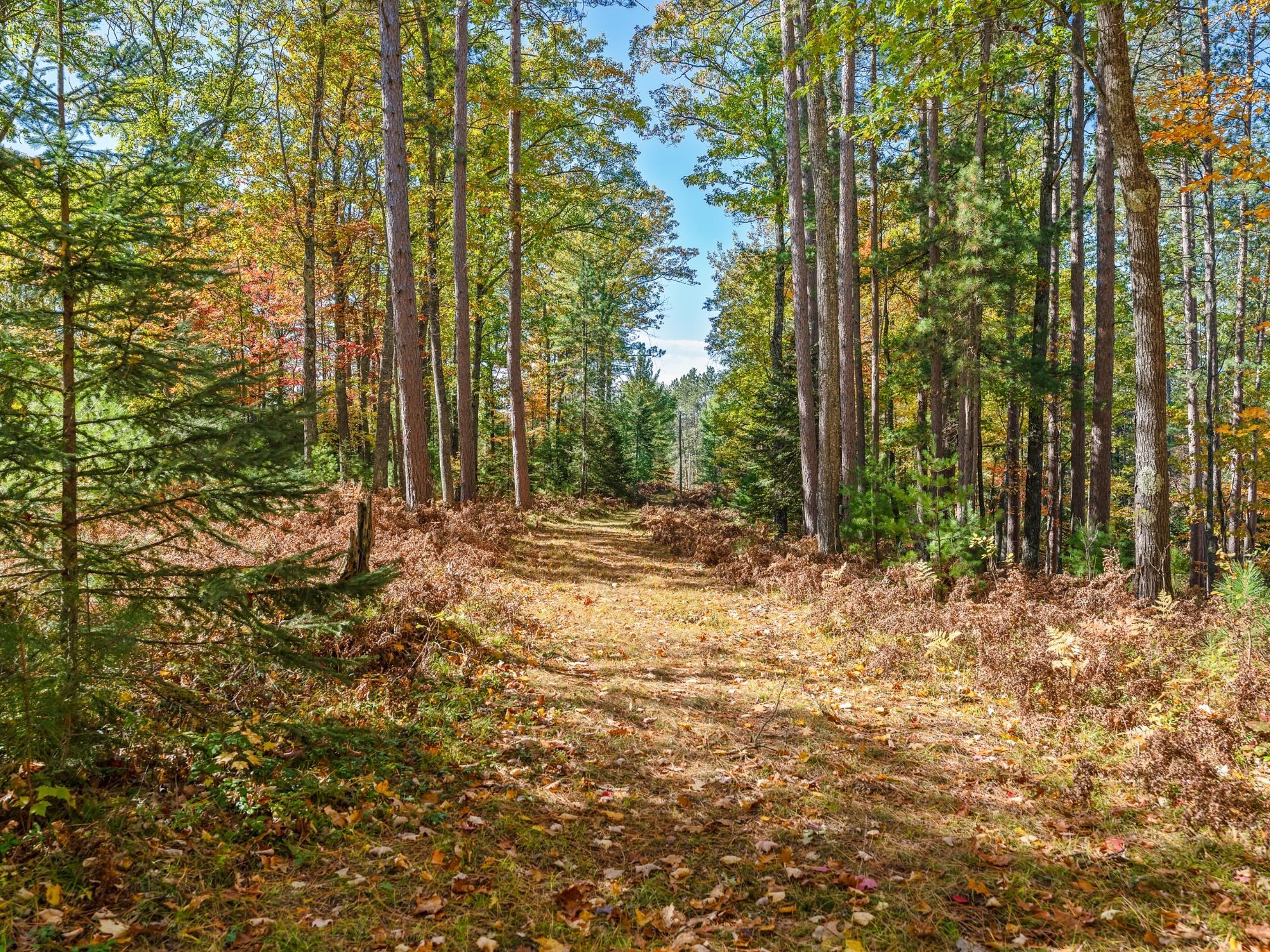 3472 Star Lake Road Eagle River, WI 54521 - Photo 53 of 69 Gallery Image 53
