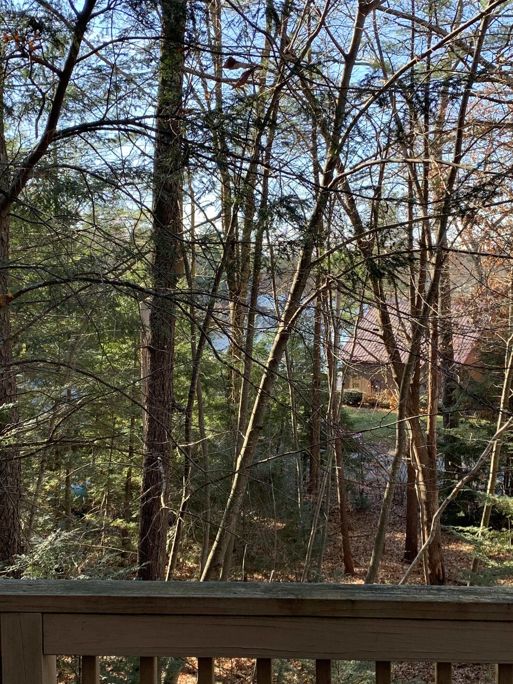 39 Blueberry Circle Hampstead, NH 03841 - Photo 9 of 13