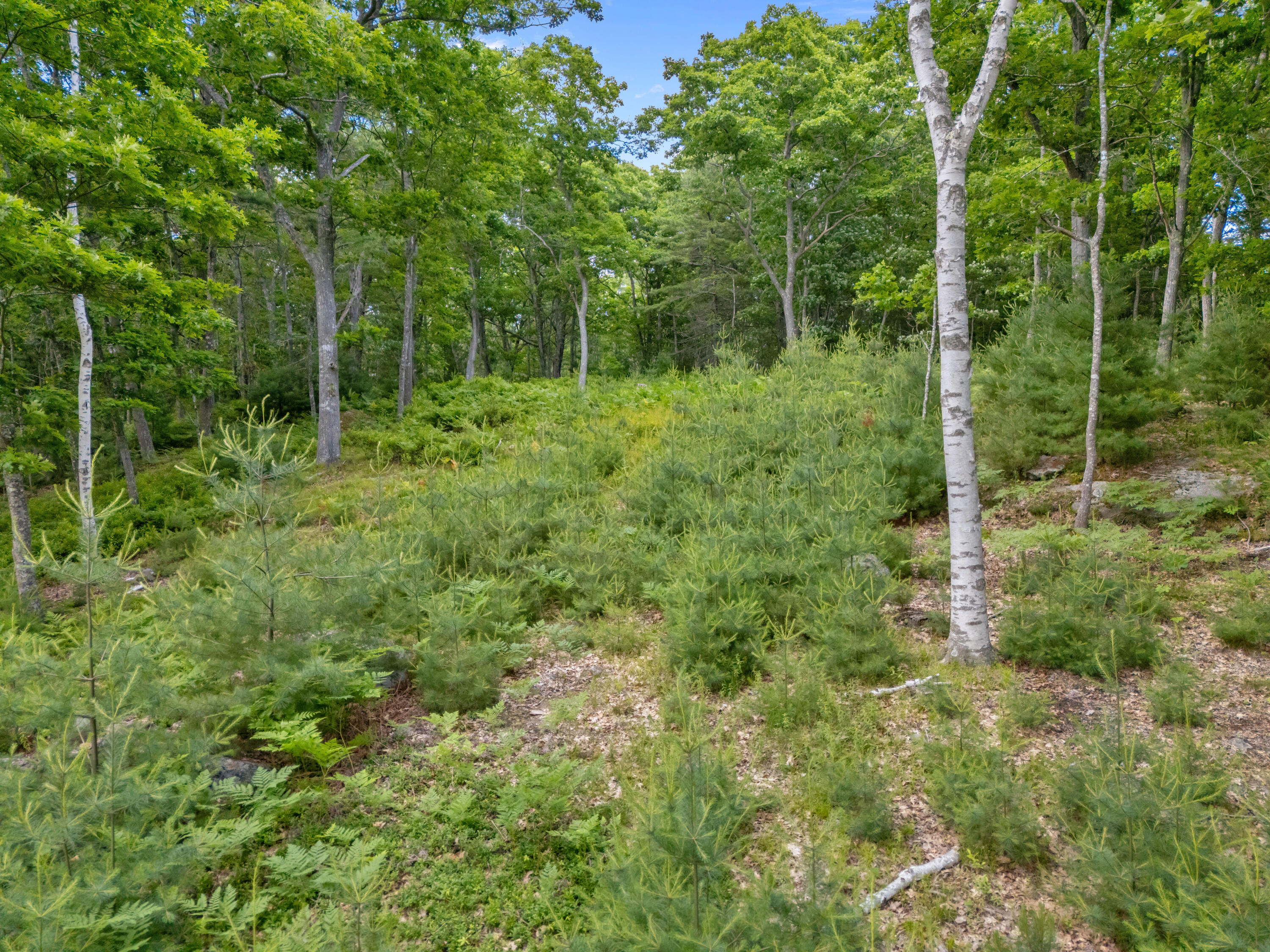Lot 16 Captain John Parker Road Phippsburg, ME 04562 - Photo 24 of 29 DJI_20260619181218