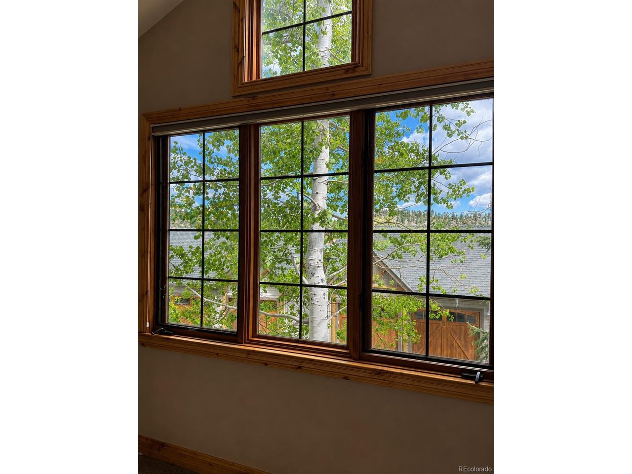 31276 Stone Canyon Road, Unit 206 Evergreen, CO 80439 - Photo 7 of 23