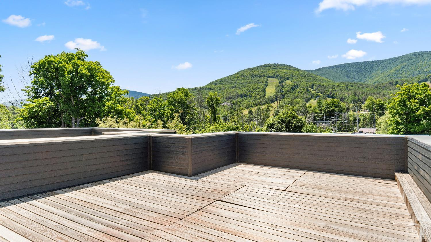 7717 Main Street Hunter, NY 12442 - Photo 53 of 55 a view of balcony and yard
