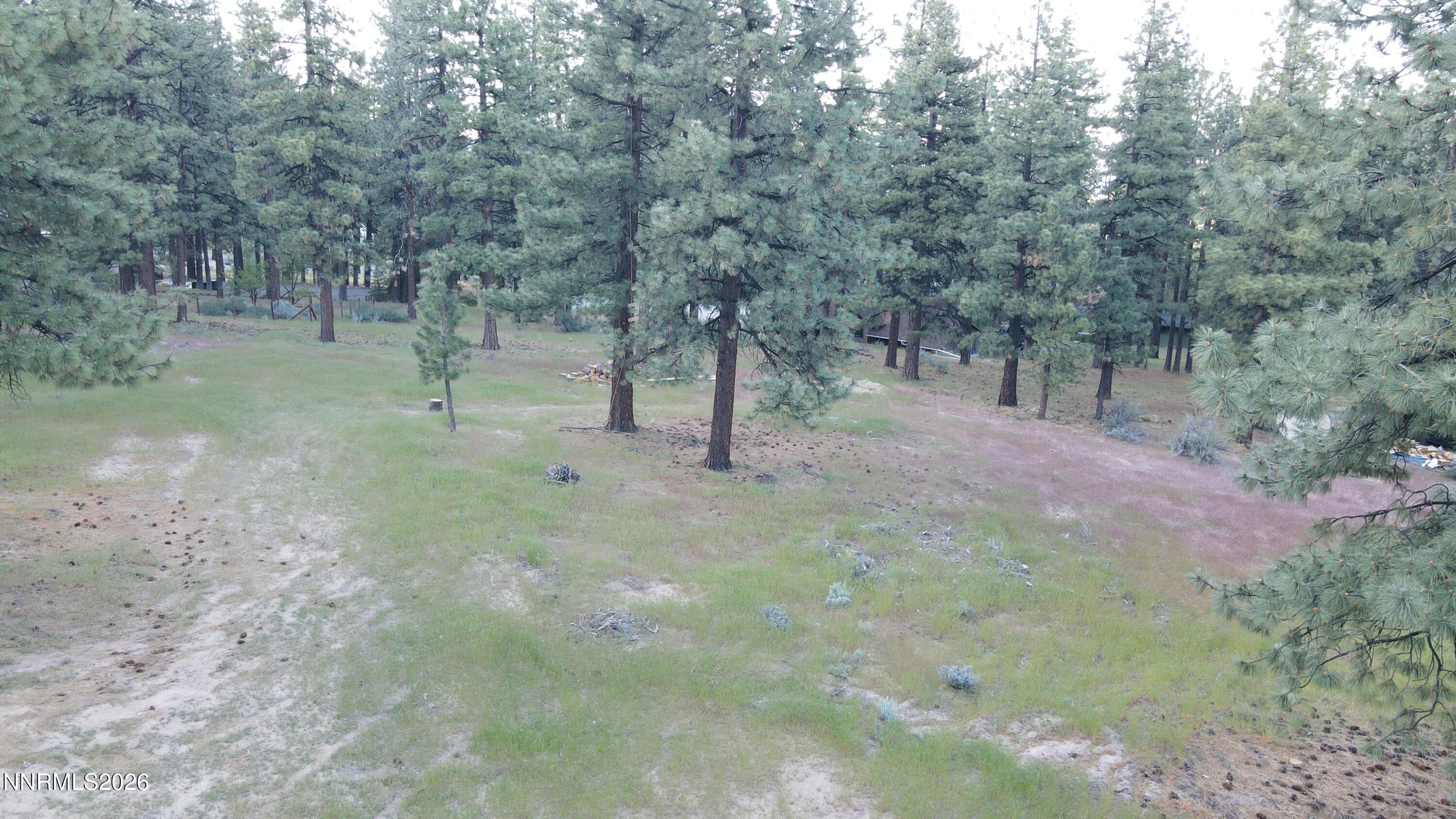 4300 Meadow Wood Road Carson City, NV 89703 - Photo 5 of 15 a view of a forest with trees in the background