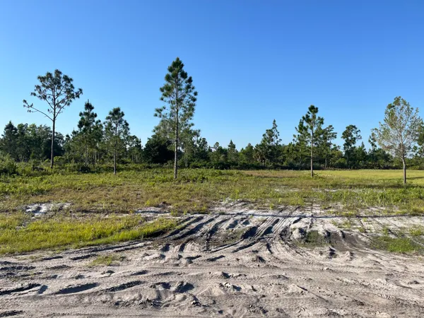 $24,900 | 0 Calendula Drive, Frostproof, FL 33843