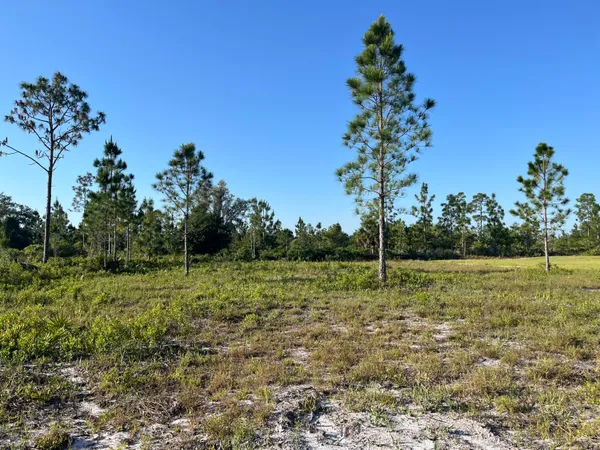 $24,900 | 0 Calendula Drive, Frostproof, FL 33843