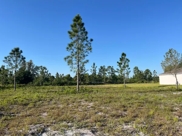 $24,900 | 0 Calendula Drive, Frostproof, FL 33843