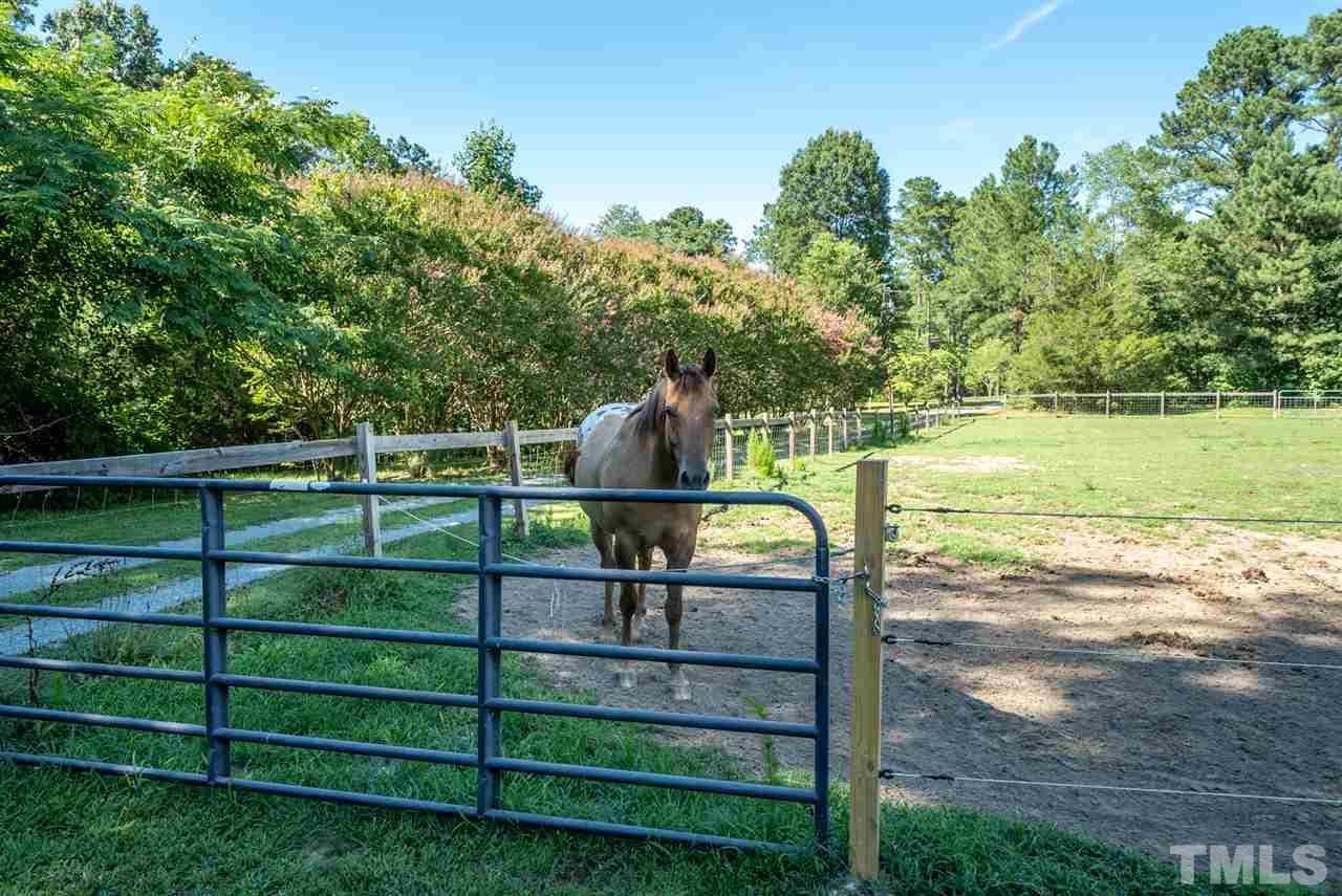 5120 Rock Quarry Road Raleigh, NC 27610 - Photo 20 of 20 Gallery Image 20