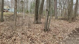 Vacant North Poplar Road Fountain, MI 49410 - Photo 1 of 2 part0 (4)