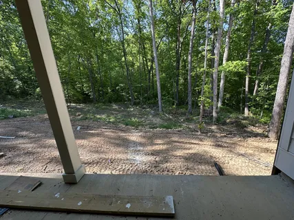 a view of a tree in a yard