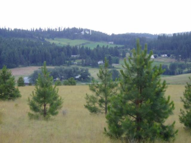 0 West Monroe Road Spokane, WA 99208 - Photo 1 of 4 Gallery Image 1