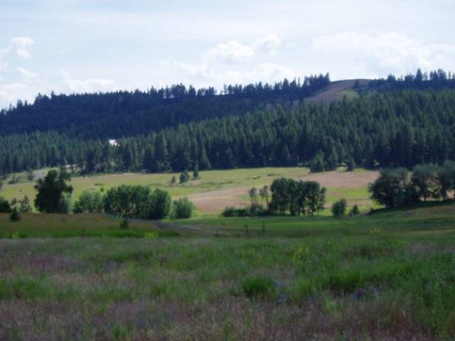 0 West Monroe Road Spokane, WA 99208 - Photo 2 of 4 Gallery Image 2
