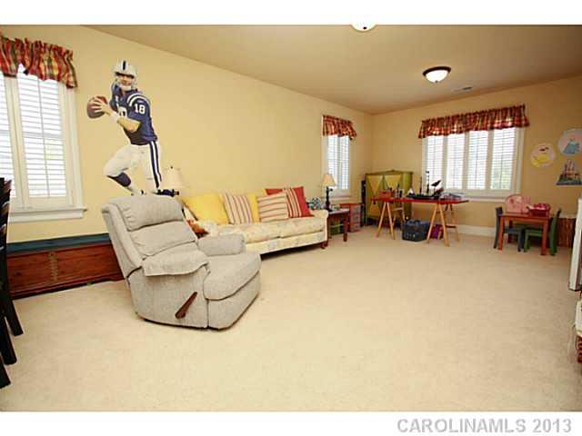 241 Mills Lane Fort Mill, SC 29708 - Photo 15 of 24