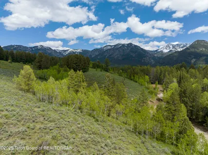$725,000 | Lot 2 Mininger Road, Alpine, WY 83128