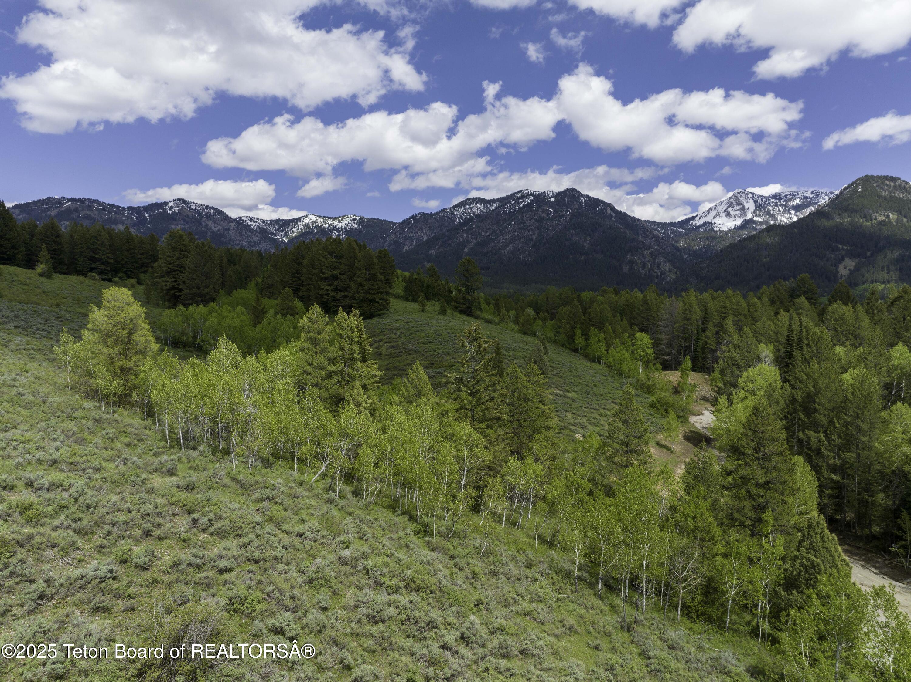 Lot 2 Mininger Road Alpine, WY 83128 - Photo 20 of 38 Web - Hidden Pines-16