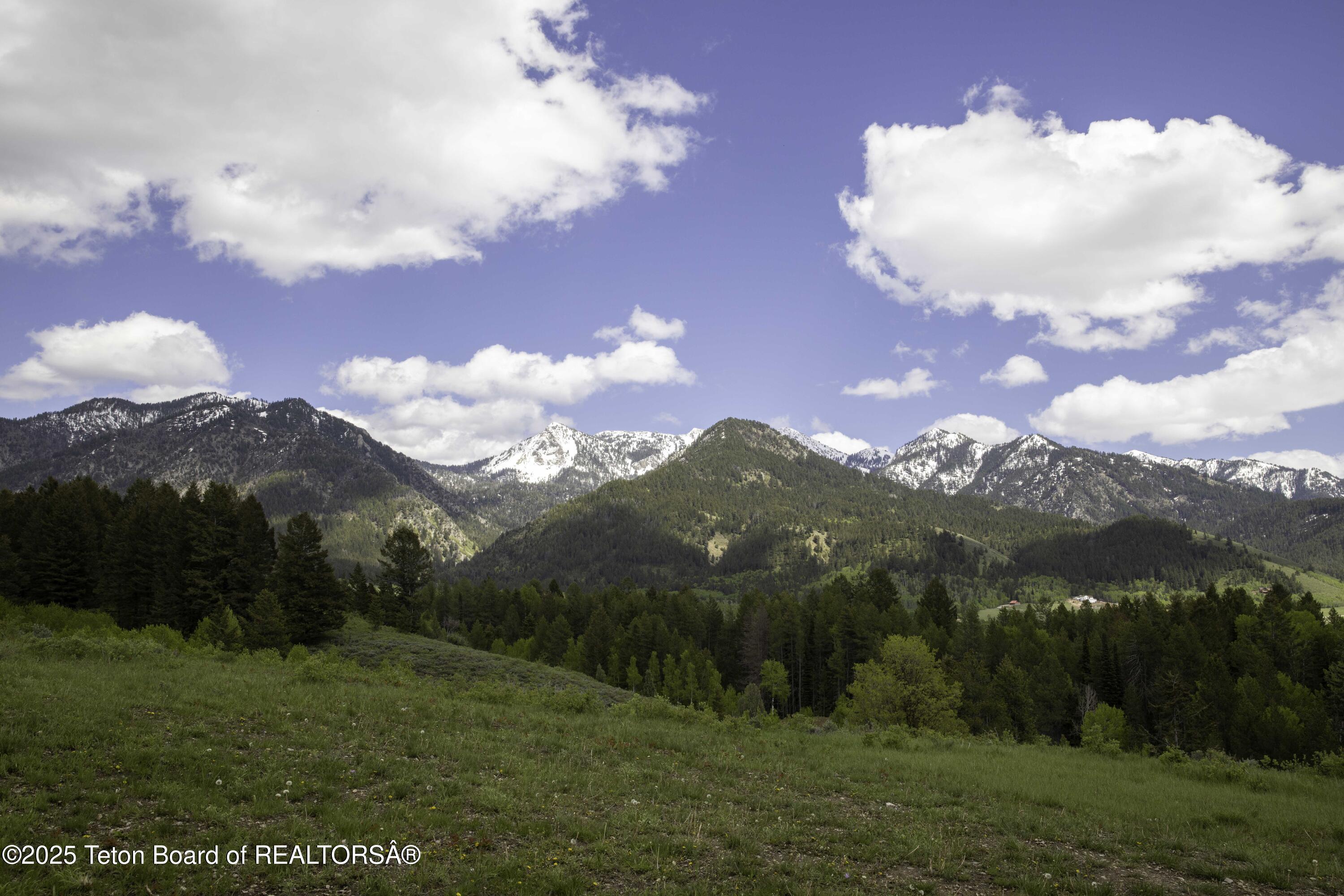 Lot 2 Mininger Road Alpine, WY 83128 - Photo 2 of 38 Web - Hidden Pines-21