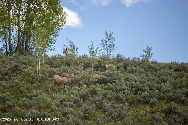 $725,000 | Lot 2 Mininger Road, Alpine, WY 83128