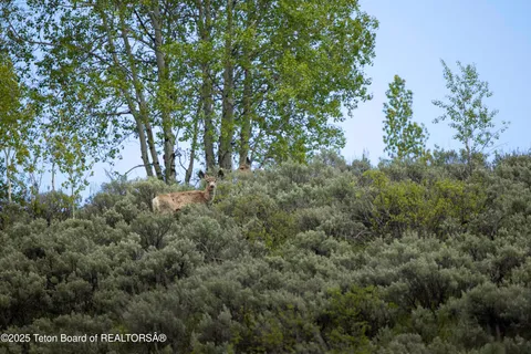 $725,000 | Lot 2 Mininger Road, Alpine, WY 83128