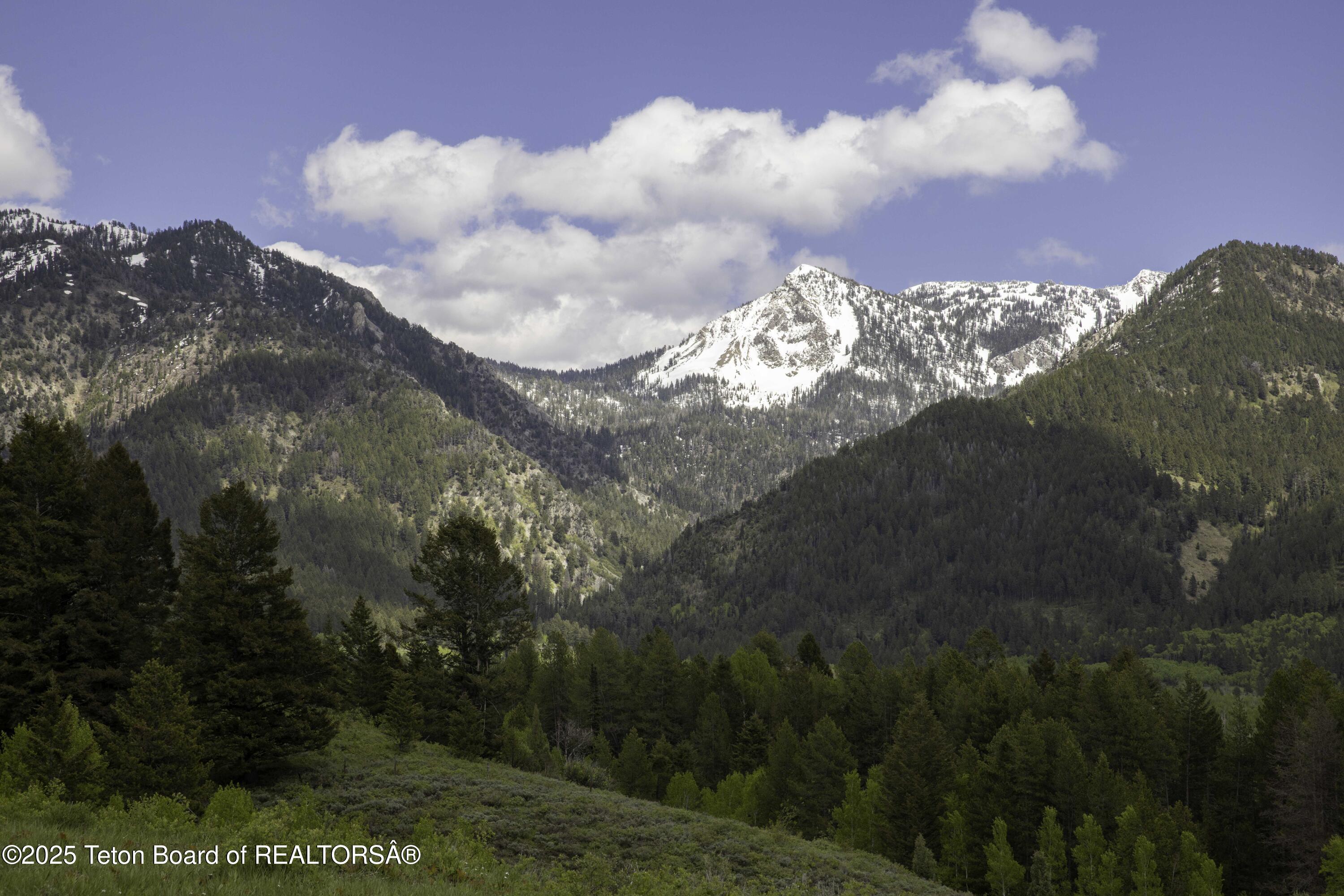 Lot 2 Mininger Road Alpine, WY 83128 - Photo 3 of 38 Web - Hidden Pines-22