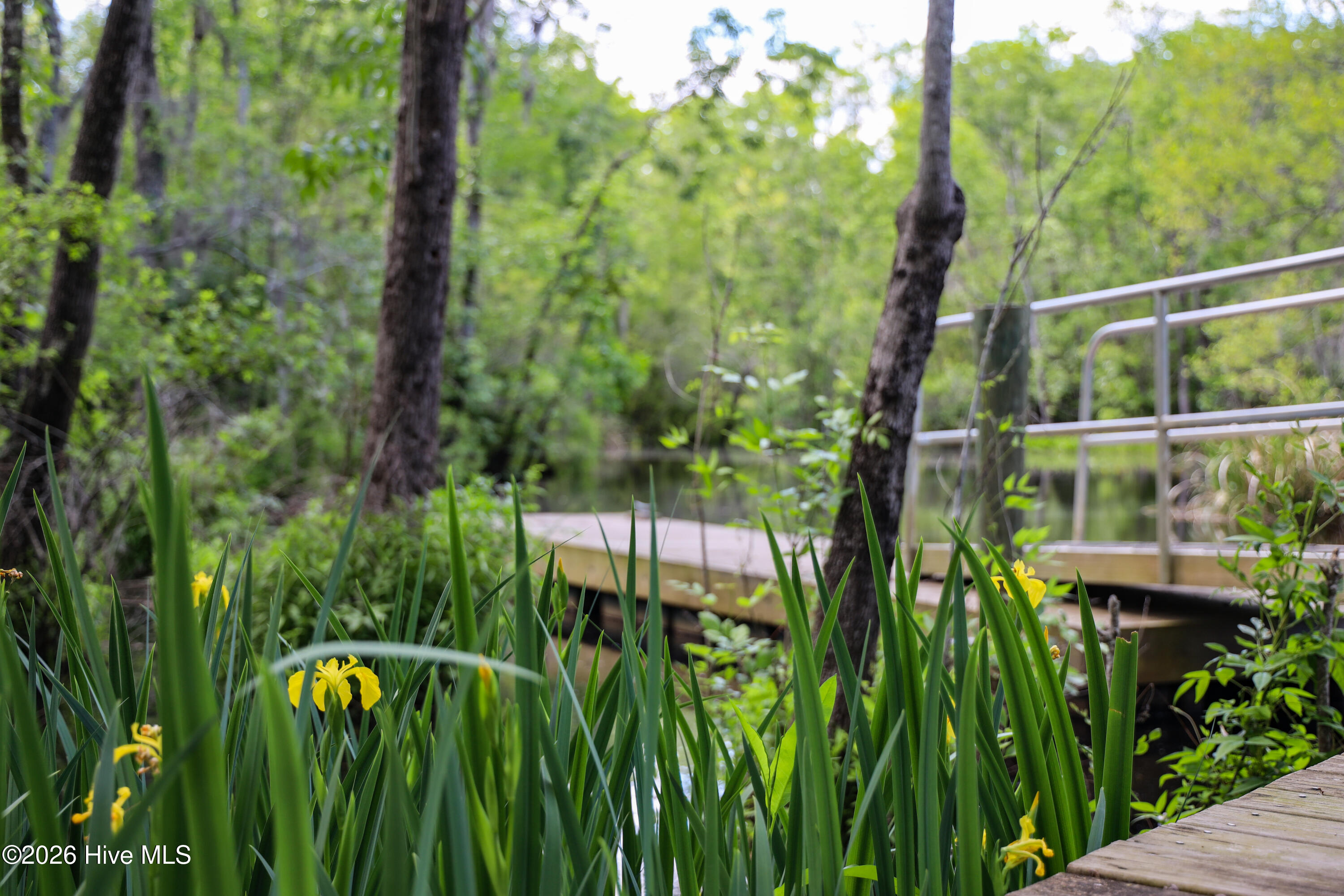44 Strut Way Rocky Point, NC 28457 - Photo 104 of 107 Nature