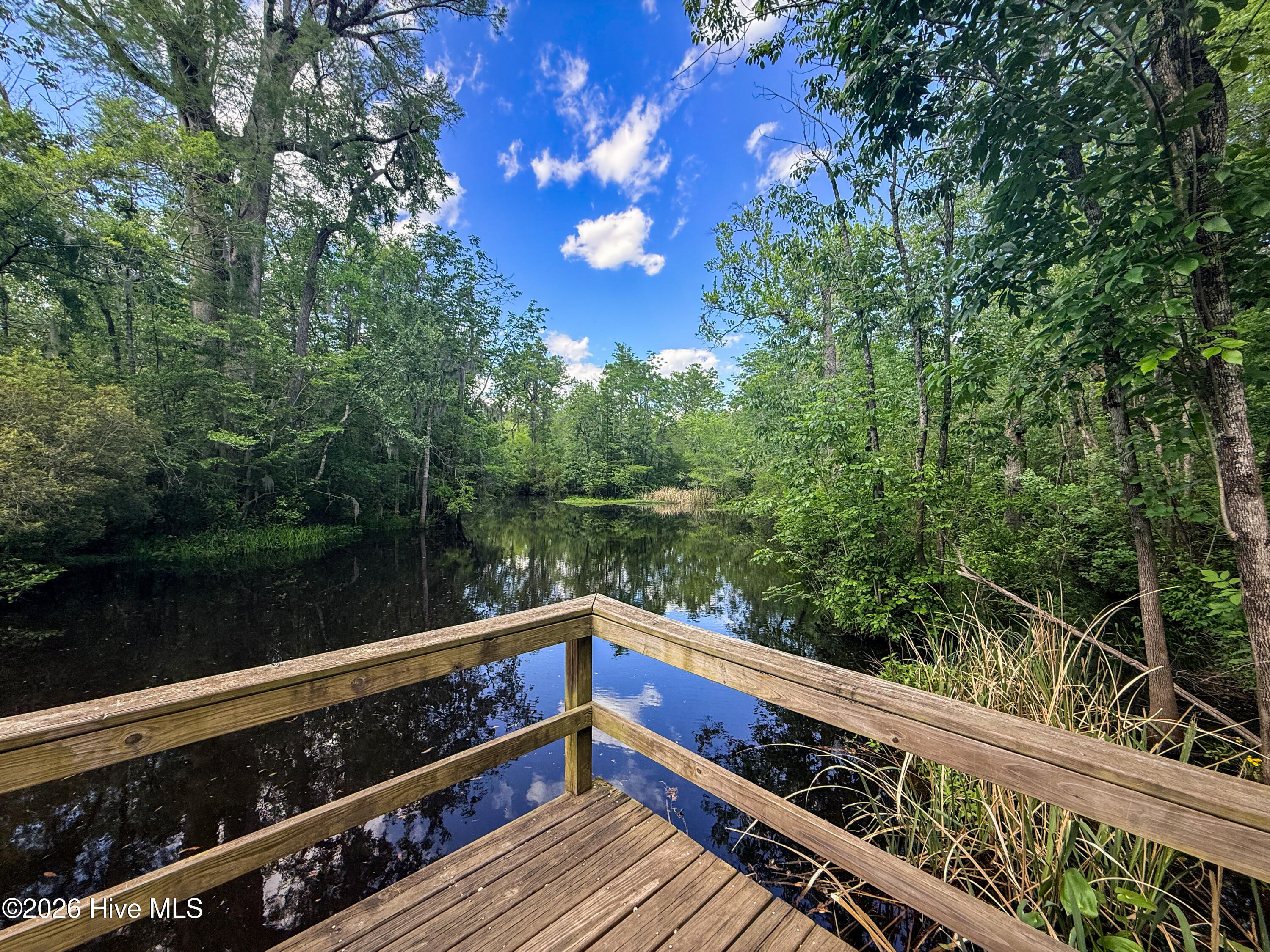 44 Strut Way Rocky Point, NC 28457 - Photo 100 of 107 River
