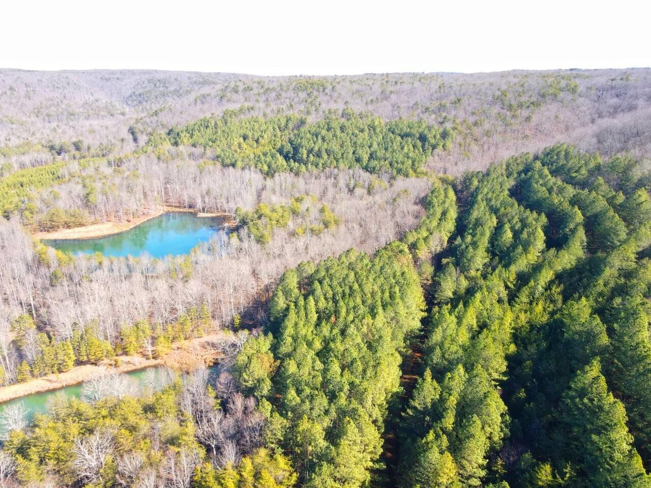 0 Grays Creek Road Whitwell, TN 37397 - Photo 7 of 8 a view of a bunch of trees and bushes
