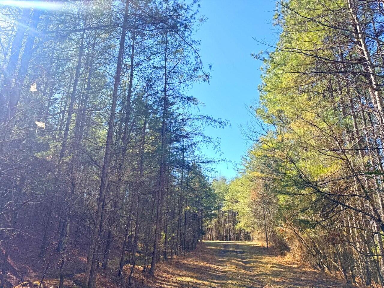 0 Grays Creek Road Whitwell, TN 37397 - Photo 8 of 8 a view of a yard in front of the house