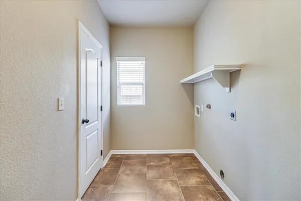 a view of a backyard with plants and large trees