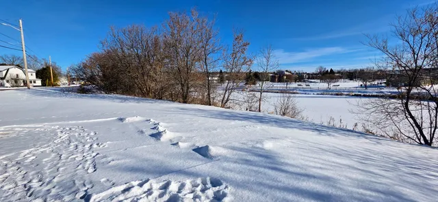 $225,000 | 29 Exchange Street, Presque Isle, ME 04769