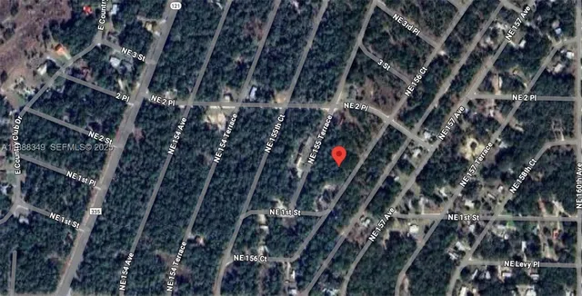 a view of flowers in a tree