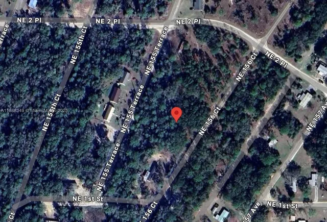 a view of flowers in a tree