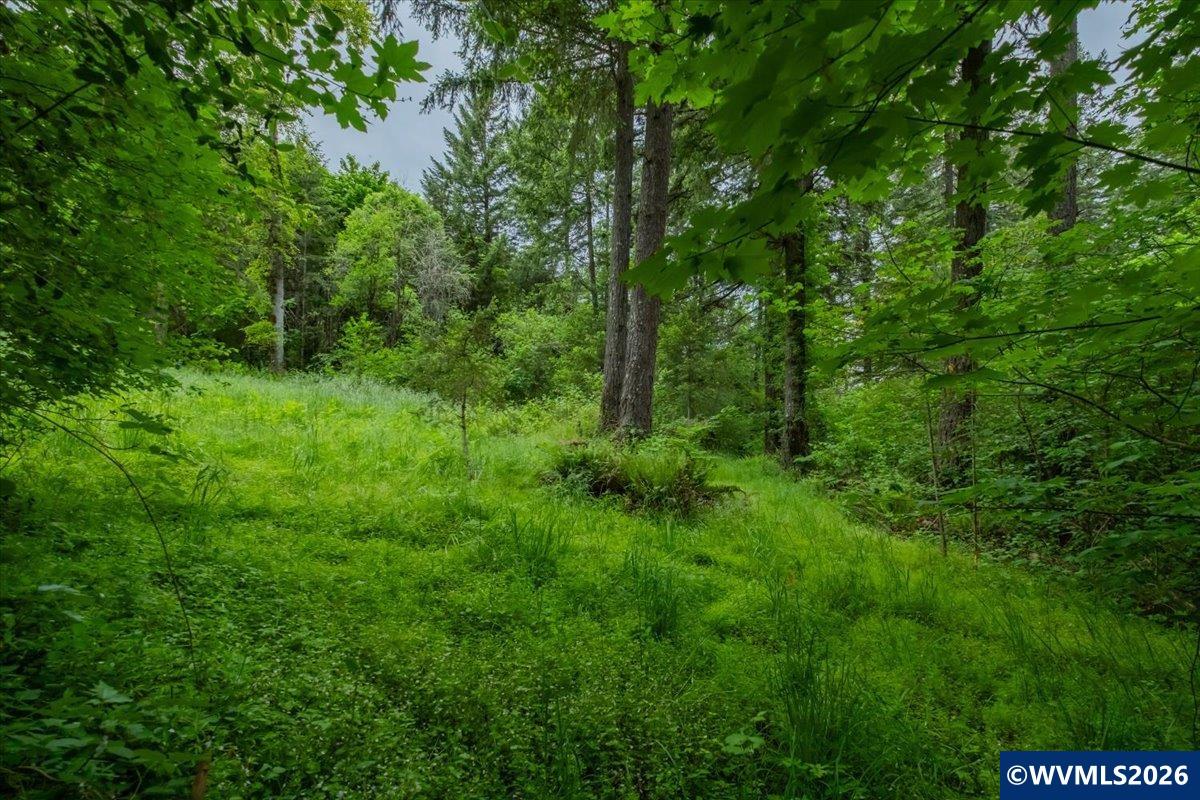 0057485 Next To 40587 Baptist Church Road Lebanon, OR 97355 - Photo 14 of 38