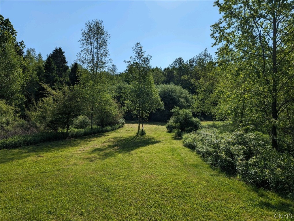 9990 Pennymix Road Camden, NY 13316 - Photo 3 of 11