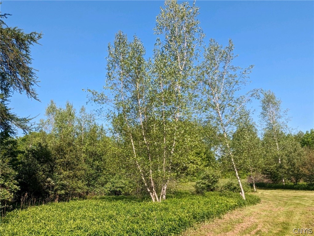 9990 Pennymix Road Camden, NY 13316 - Photo 4 of 11