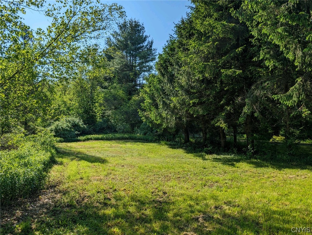 9990 Pennymix Road Camden, NY 13316 - Photo 6 of 11