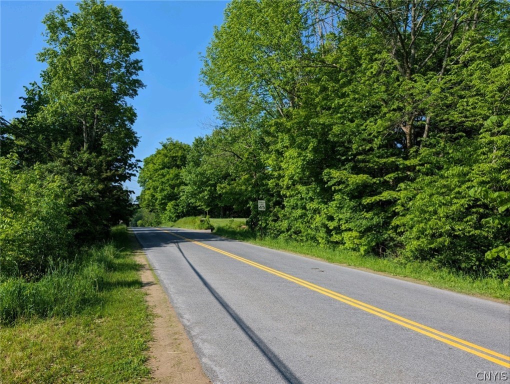 9990 Pennymix Road Camden, NY 13316 - Photo 9 of 11